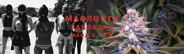 дмт Алексин