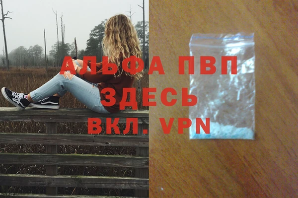 дмт Алексин
