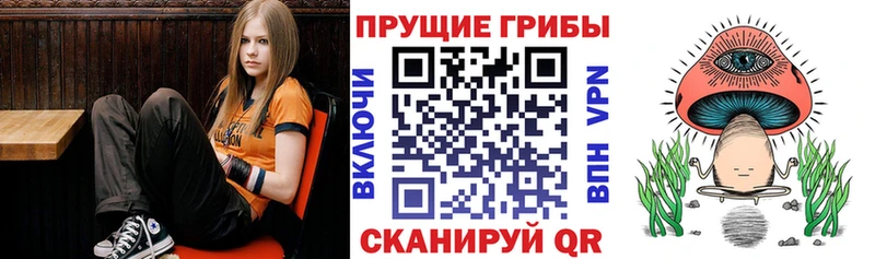 Галлюциногенные грибы Magic Shrooms  МЕГА tor  Чадан 