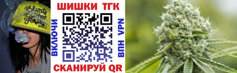купить закладку Чадан KRAKEN ссылки Канабис сатива